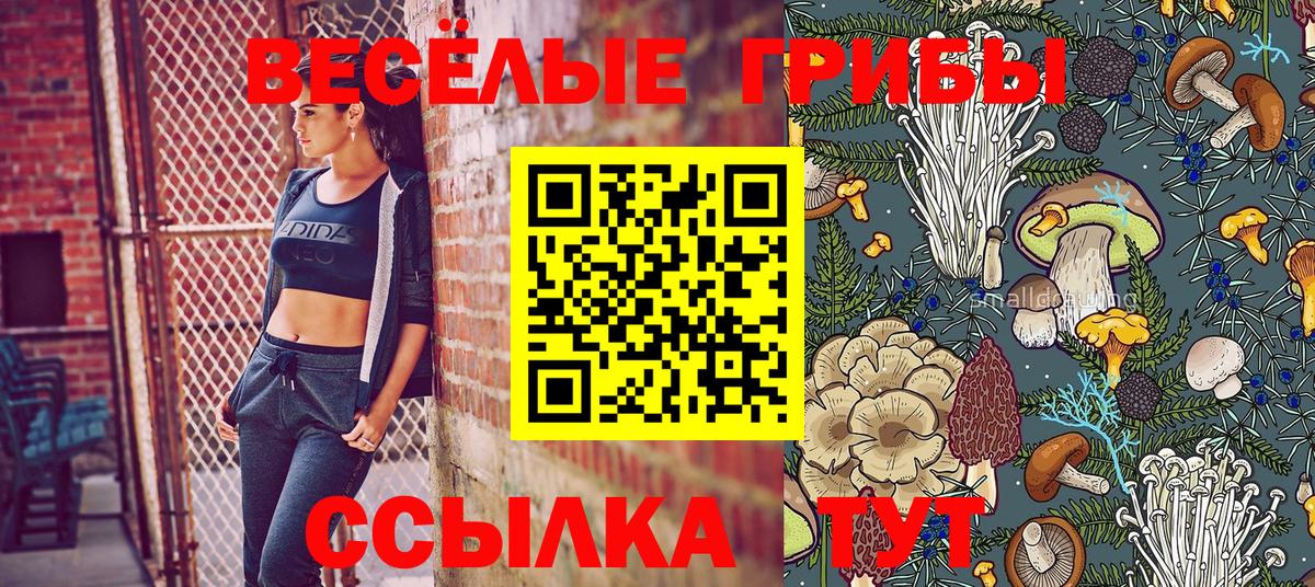 Псилоцибиновые грибы Cubensis Морозовск